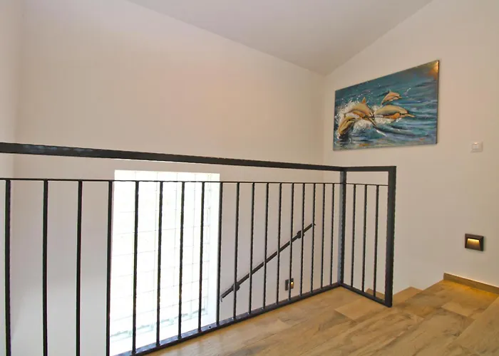 Rose 2352 Πούλα